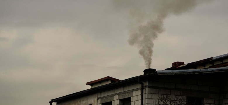 W tych polskich miastach jakość powietrza jest najgorsza. Smogowi rekordziści