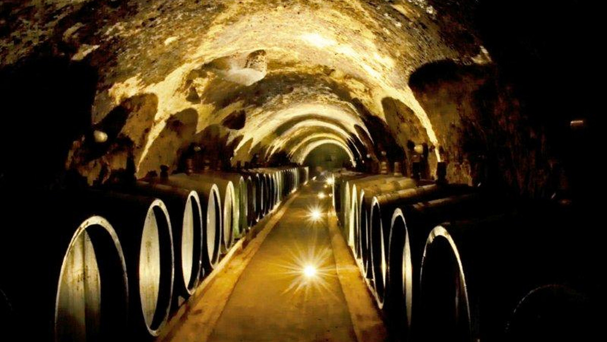 Obszar dzisiejszej Słowacji znany był z produkcji win od dawien dawna. Pierwsze winnice powstały tu już w XIII wieku. Dzisiaj dla turystów Słowacja to nie tylko malownicze góry, stoki, jaskinie i gorące źródła. To także kraina, do której wyrusza się, aby degustować ten szlachetny trunek, jakim jest wino.
