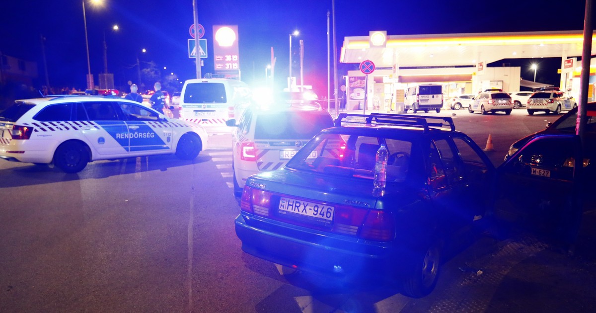 A nyílt utcán csonkította meg a kutyáját egy férfi Budapesten