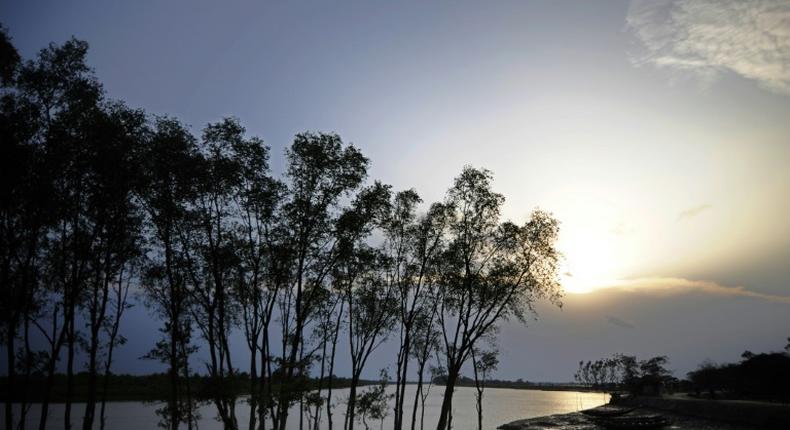 Cyclone Bulbul is set to make landfall near the Sundarbans on the Bangladesh coast