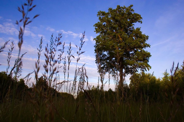 Najpiękniejsze krajobrazy Polski