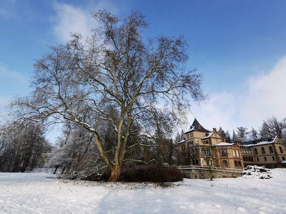 Park-arboretum, Oficyna fot OKL