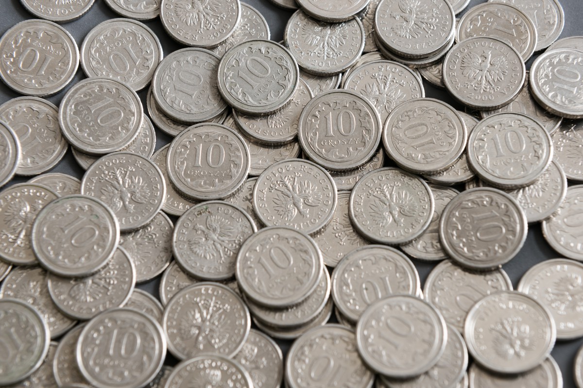 Polish,Coins,,Pln,,Polish,Money