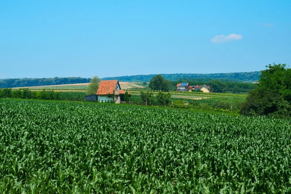 Poljoprivredni proizvođači su nastavili da rade svoj posao i tokom pandemije