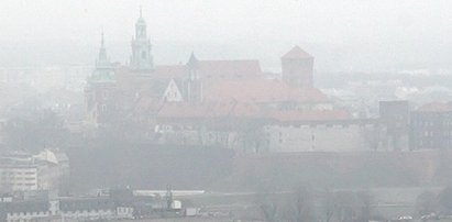 Smog w Krakowie zabija mieszkańców