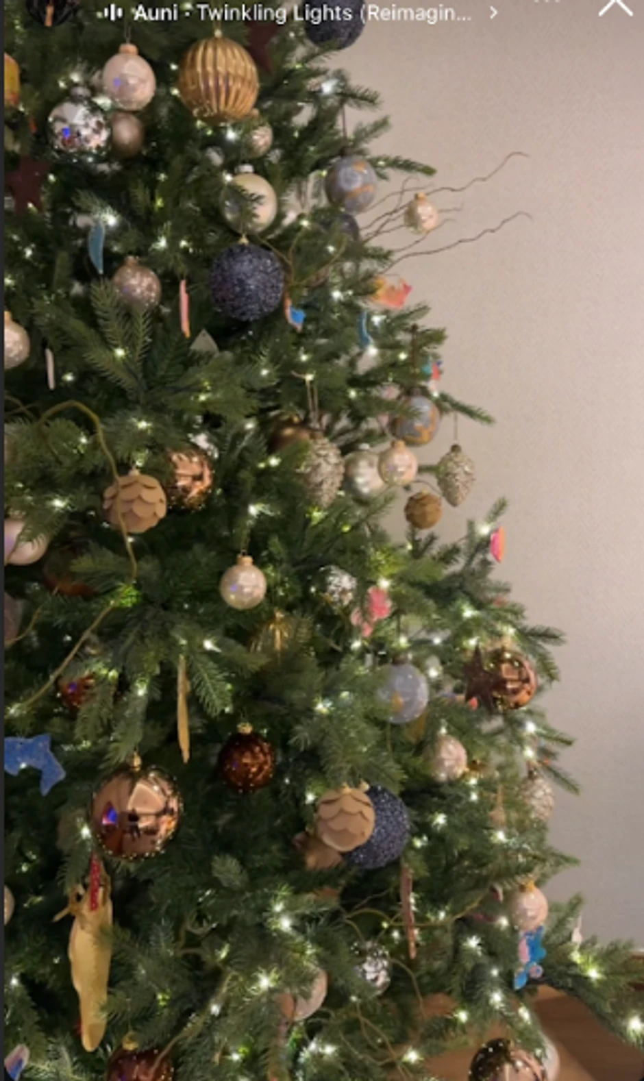 Jelisaveta pokazala kako se ukrasila jelku