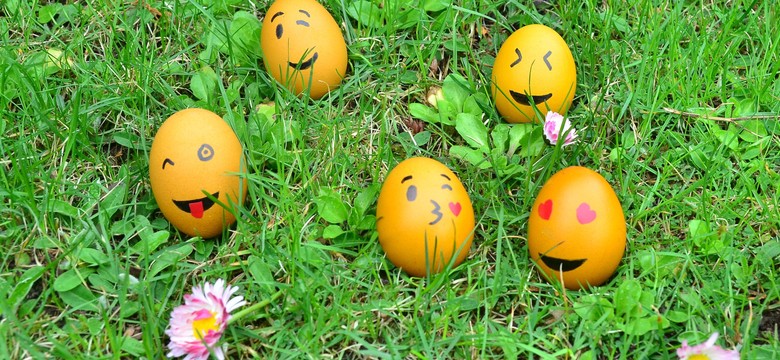 Niewielkie, obłe i pełne korzystnych substancji. "To najdoskonalszy wytwór natury!"