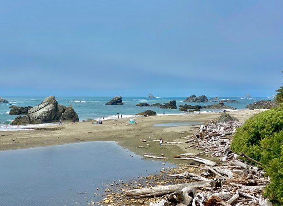 Plaża w Parku Stanowym Harris Beach, Oregon