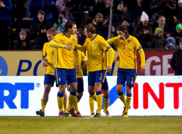 Mecz Szwecja - Finlandia można obejrzeć... nago w saunie