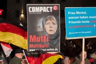 Rally of Alternative for Germany