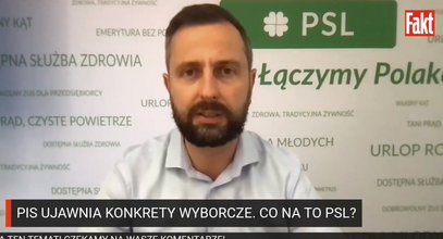 Władysław Kosiniak Kamysz: Bezpartyjni Samorządowcy to odnoga PiS