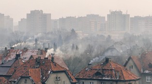 Emigrują, by się nie truć