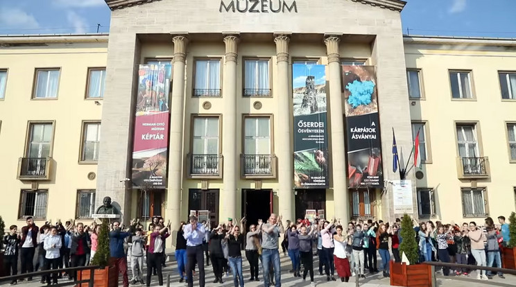 A miskolci Herman Ottó 
Múzeumban dolgoznak a 
világon legjobban táncoló alkalmazottak