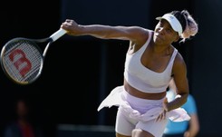 Wimbledon. Williams oraz Switolina otrzymały 'dzikie karty'