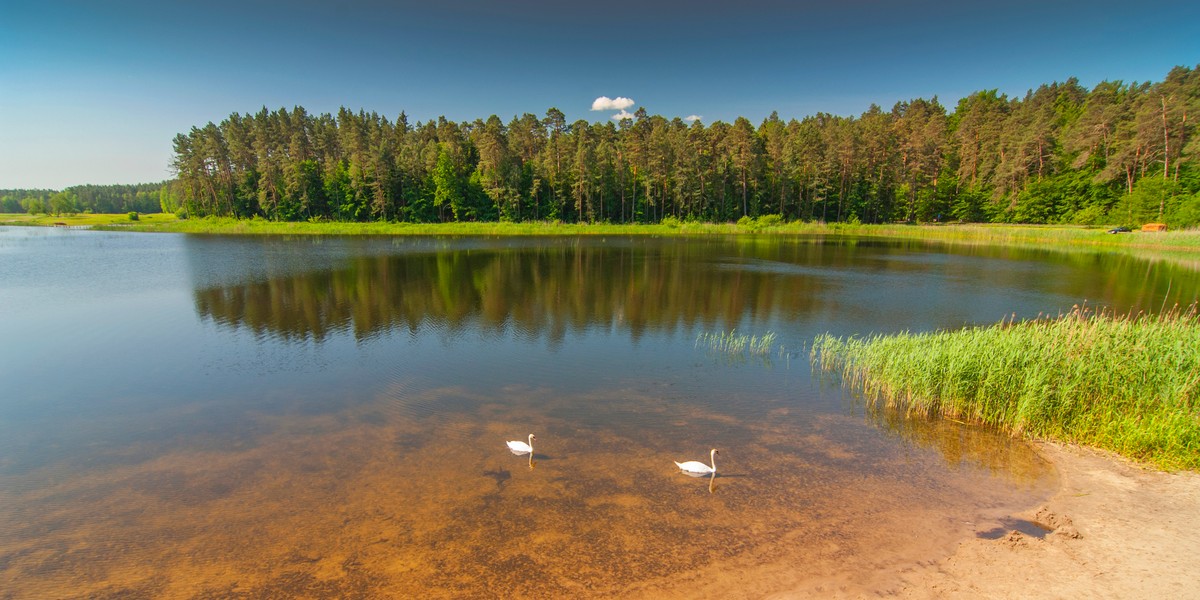 Roztocze Cz ci wiatowej Sieci Rezerwat w Biosfery UNESCO Podr e