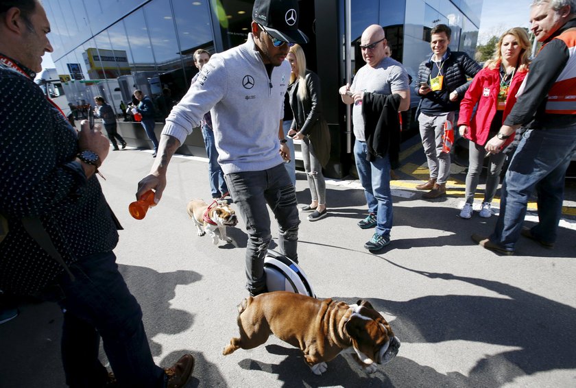 Lewis Hamilton na dziwnym spacerze z psami na katalońskim torze