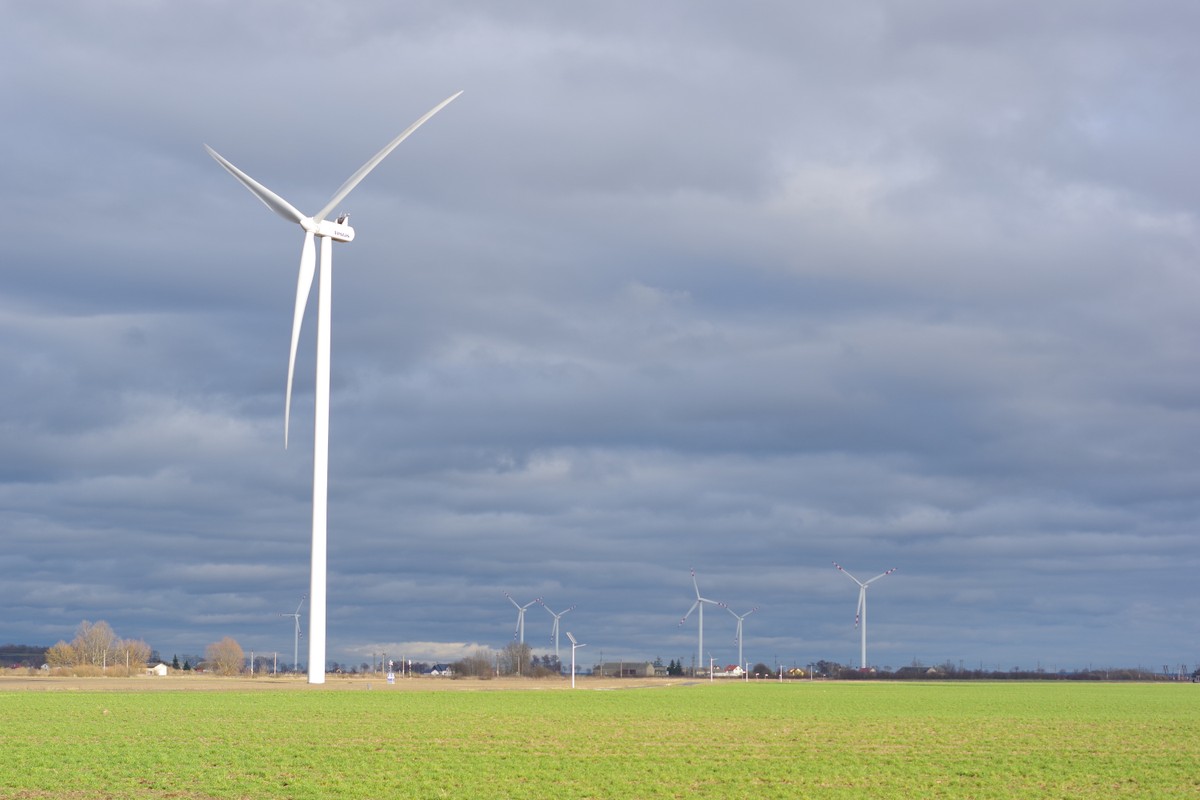 Polacy chcą neutralności klimatycznej, ale nie za wszelką cenę [SONDAŻ]