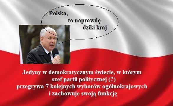 mem / źródło: Facebook/NieLubięPiSu