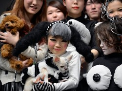 Trochę straszny, trochę śmieszny: dziecięcy pokaz mody rodem z "Frankenweenie"