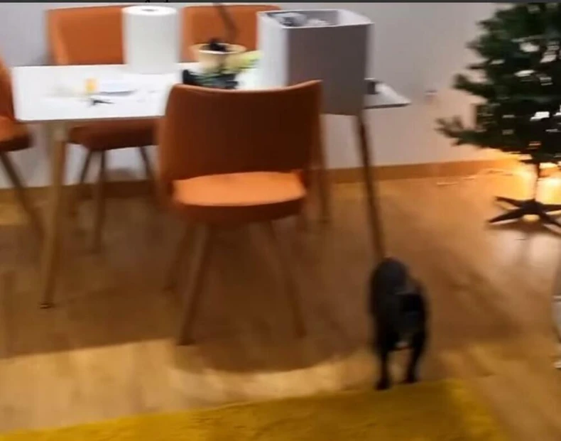 Kristijan i Kristina - stan 