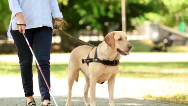 tablice z symbolami braille’a. jak stawka vat?