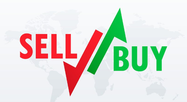 Discovering hidden opportunities in forex trading for top profits