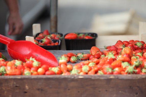 Truskawki na ryneczku w Gorzowie kosztują 25 złotych za kilogram!