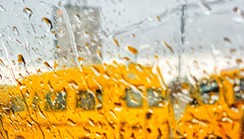 Climate change: Why did it rain in November? [Pulse Explainer]