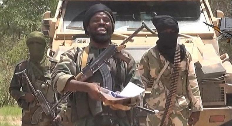 Boko Haram insurgents