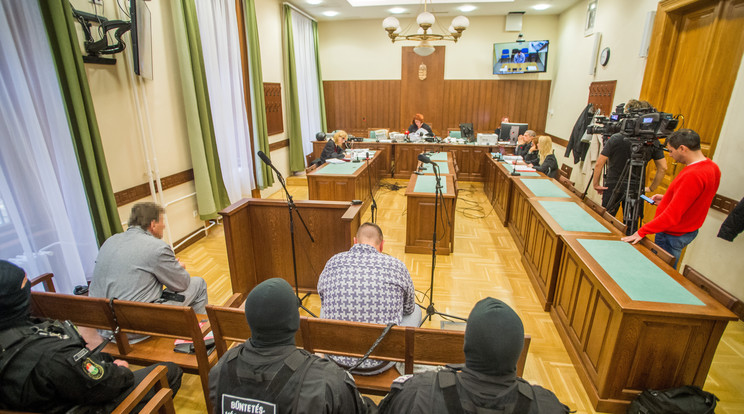 A járványhelyzetre hivatkozó csalót ítéltek felfüggesztett fogházra Tamásiban. /Fotó:MTI