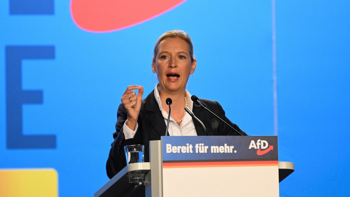 Alice Weidel