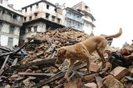 Nepal trzęsienie ziemi