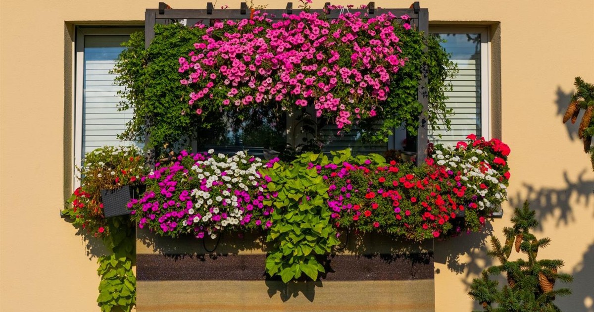 Nagrody w konkursie Warszawa w kwiatach!