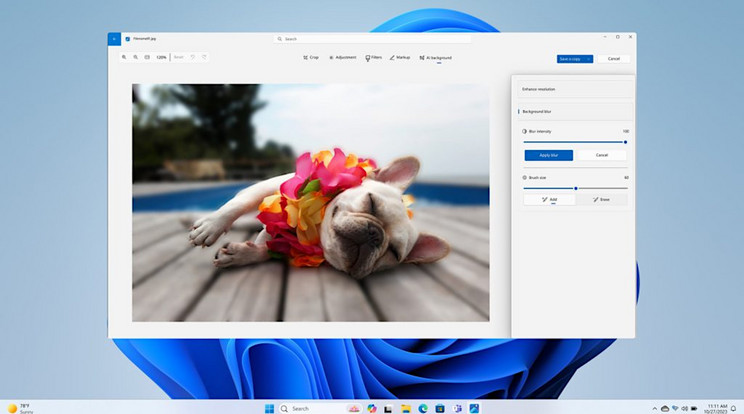 Mondhatnánk, hogy a Windows 11 legújabb frissítése tele van cukiságokkal, de valójában új mesterséges intelligencia funkciókkal, amelyek közül párat valóban nagyon vonzónak találhatunk, mert megkönnyíti az életünket. Például hosszas keresgélés helyett pillanatok elatt előkaphatjuk kedvenc kutyás képünket. De ennél sokkal többre is képesek leszünk a Coopilot és most érkező társai segítségével. / Fotó: Microsoft