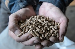 pellet-zniknal-zima-podwyzki-cen