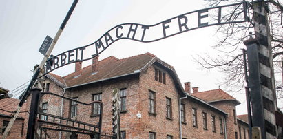 Holenderka zapłaciła za swoją głupotę. Wykonała ten gest przy bramie do Auschwitz