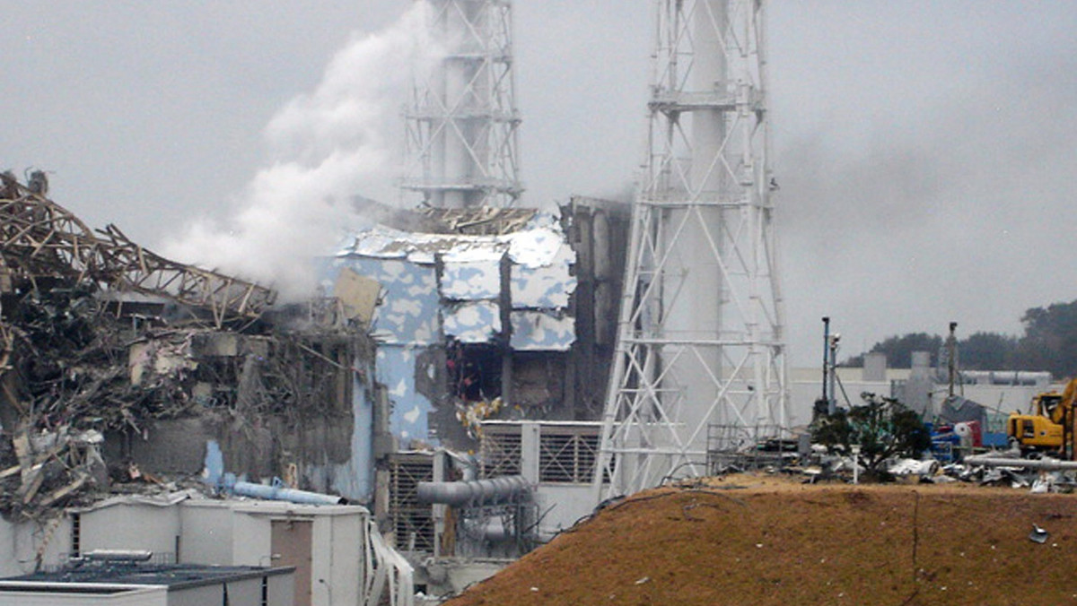 W różnych miejscach na terenie uszkodzonej japońskiej elektrowni atomowej Fukushima I znaleziono na ziemi pluton - poinformowała eksploatująca elektrownię spółka Tepco.