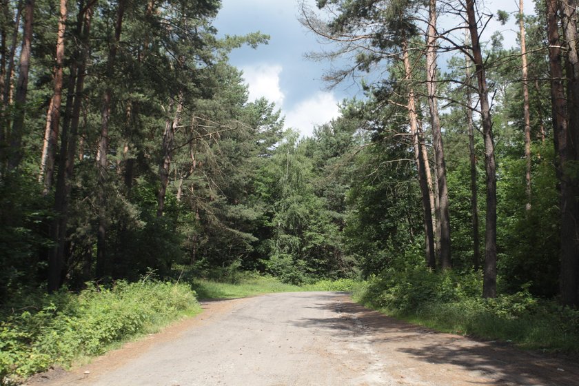 Tą drogą Iza S. wracała do domu