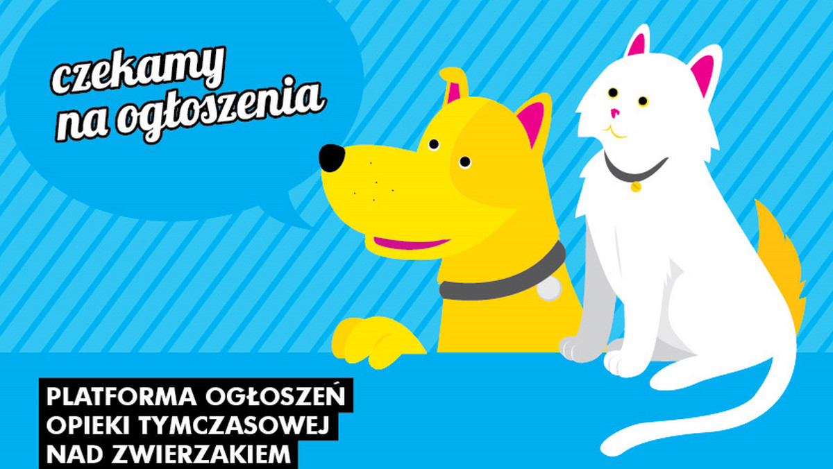 Urlop lub pobyt w szpitalu to czas, kiedy, jeśli mamy psa czy kota, mamy też poważny problem. Bo często bywa tak, że pupila nie ma z kim zostawić, a hotele dla zwierząt bywają kosztowne. Aby takim osobom pomóc, dwie łódzkie radne wymyśliły i przygotowały internetową platformę do czasowej adopcji zwierząt.