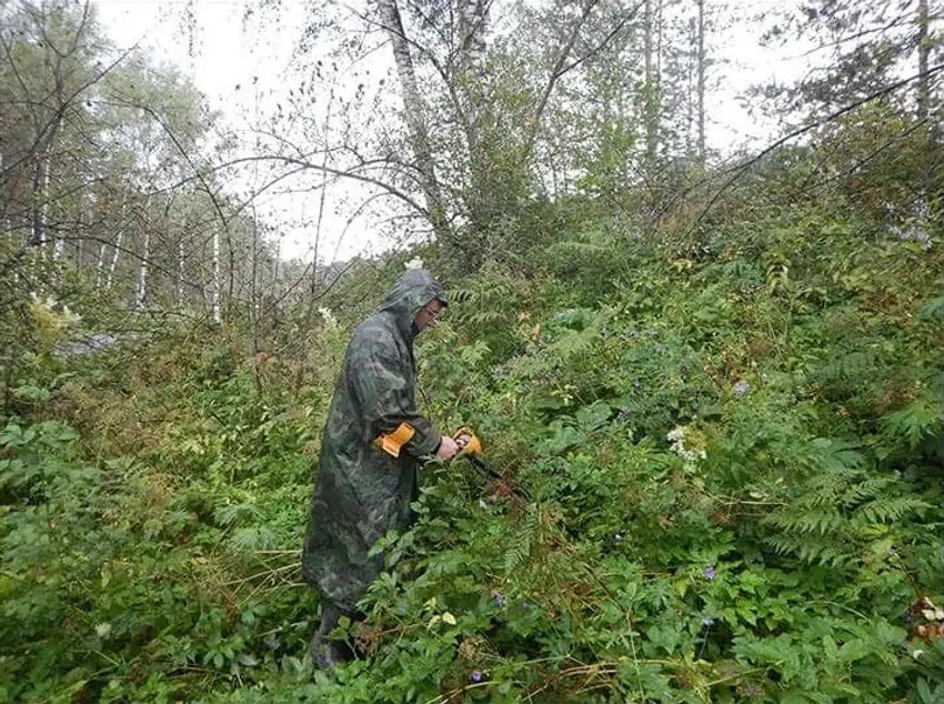 Sibirski zid ispod slojeva trave i biljaka