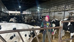 Farma