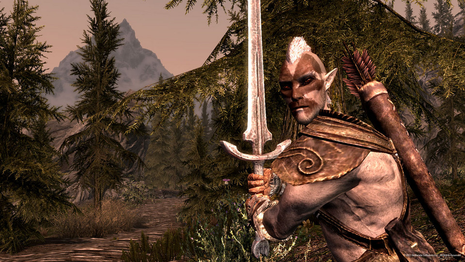 Kadr z gry "The Elder Scrolls V: Skyrim"
