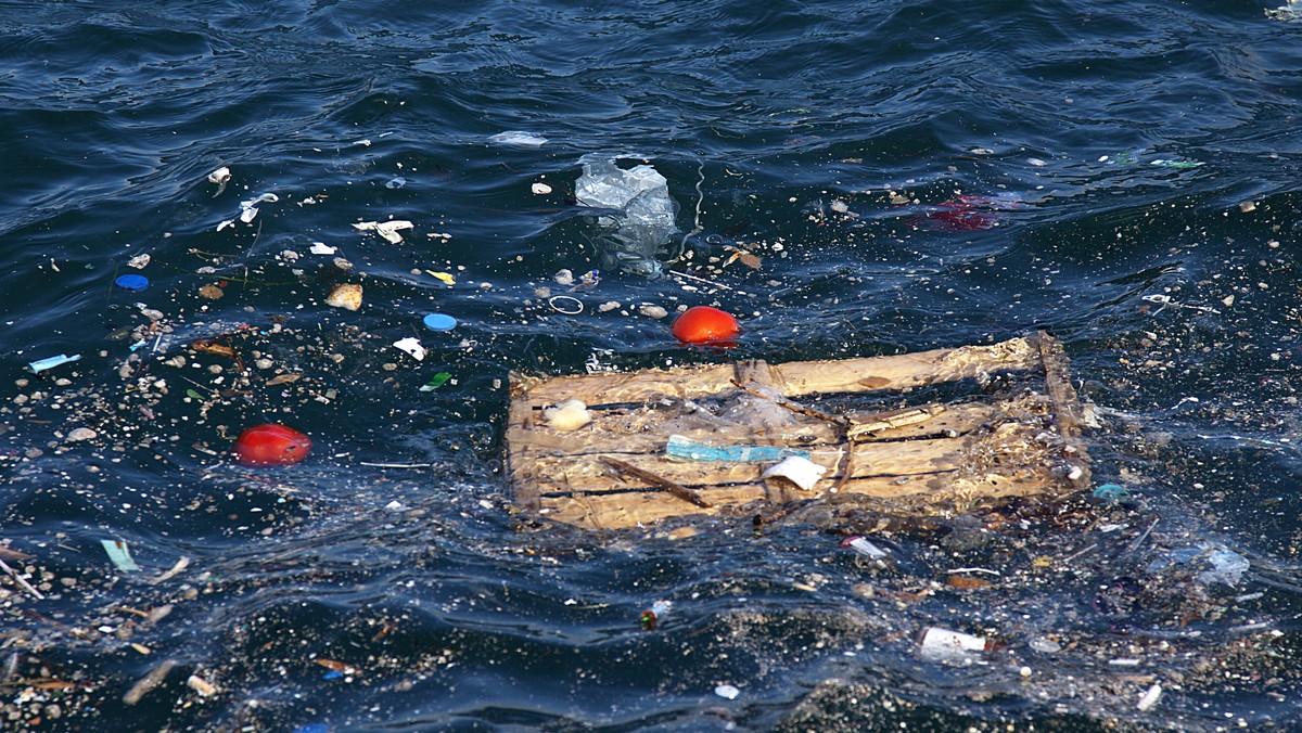 W światowych oceanach dryfuje ponad pięć bilionów odłamków plastiku, a co minutę do mórz trafia jedna ciężarówka plastikowych odpadów. Ze śmieciami wiąże się niecodzienne zjawisko: ryby napotykając plastikowy odpad, zachowywały się tak, jakby trafiły na ulubiony pokarm. Długo nie było wiadomo, dlaczego tak się dzieje. Niedawno opublikowano wyniki testów i zagadka została rozwiązana.