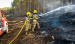 Chile walczy z pożarami. 3 osoby zginęły