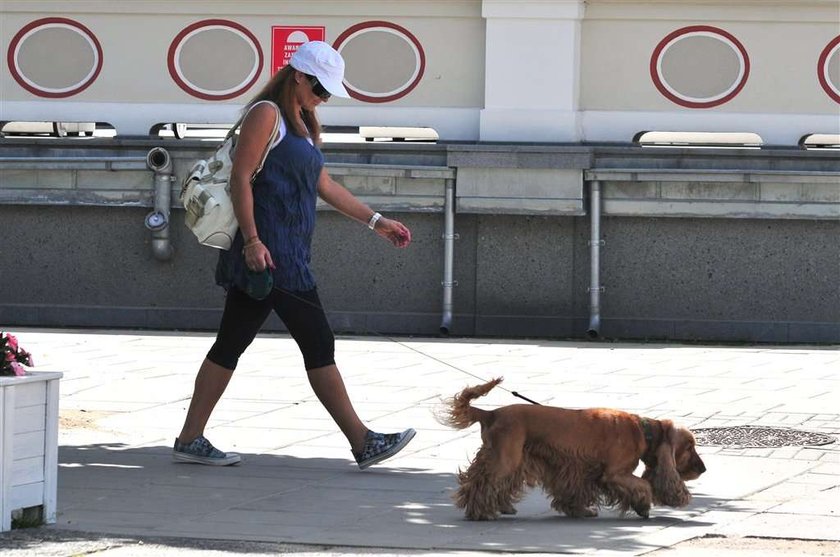 Skrzynecka poszła do psiego psychologa