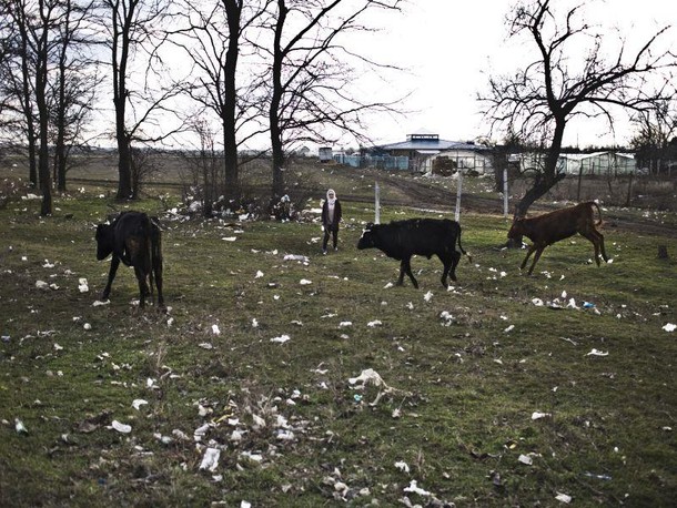 Zaporoże foto Filip Ćwik 21