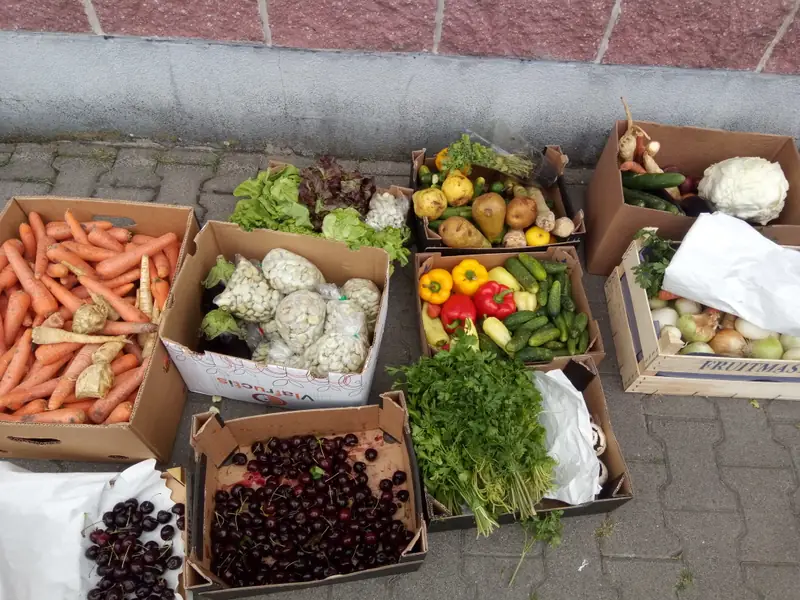 Foodsharing / zdjęcie dzięki uprzejmości rozmówczyni