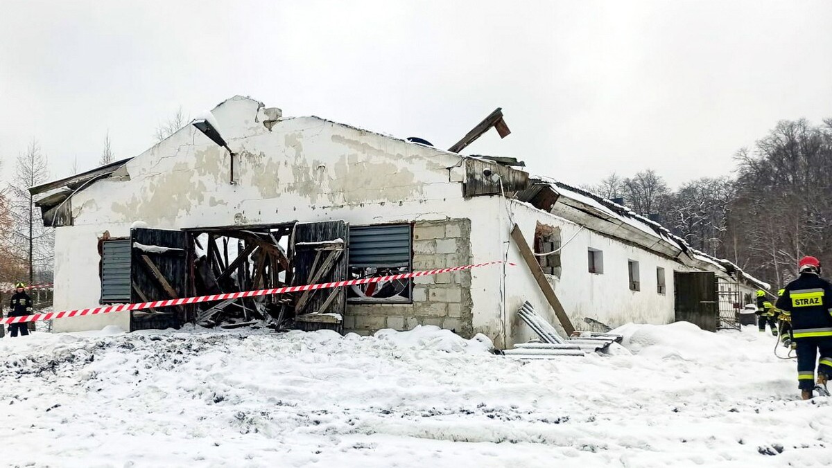 Atak zimy w Polsce. Oto jak wygląda sytuacja pogodowa w całym kraju