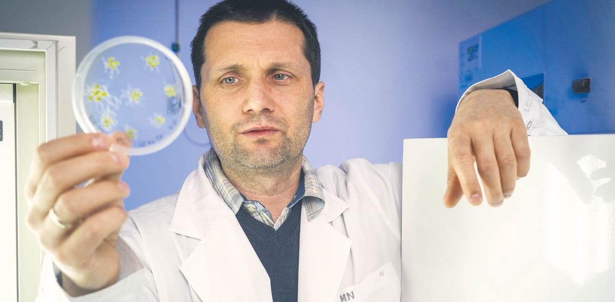Dr hab. Piotr Rozpądek z Małopolskiego Centrum Biotechnologii Uniwersytetu Jagiellońskiego