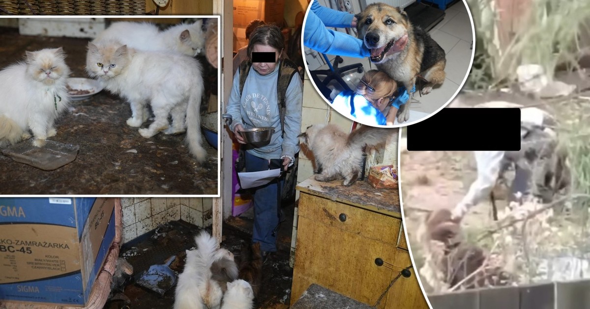 "Ogrom cierpienia w jego oczach". Sąsiedzi nagrali okropne sceny, a za drzwiami – piekło